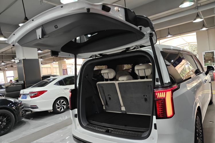 极氪 极氪009 2024 汽车图片 #28