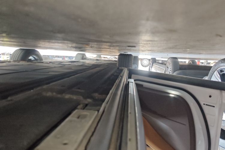 Denza D9 2023 imagem de carro #28