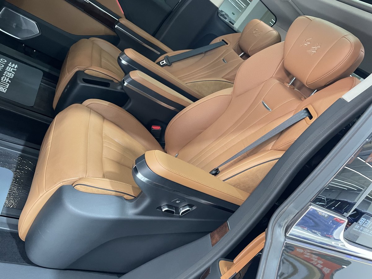 HongQi HQ9 2023 immagine di auto #28