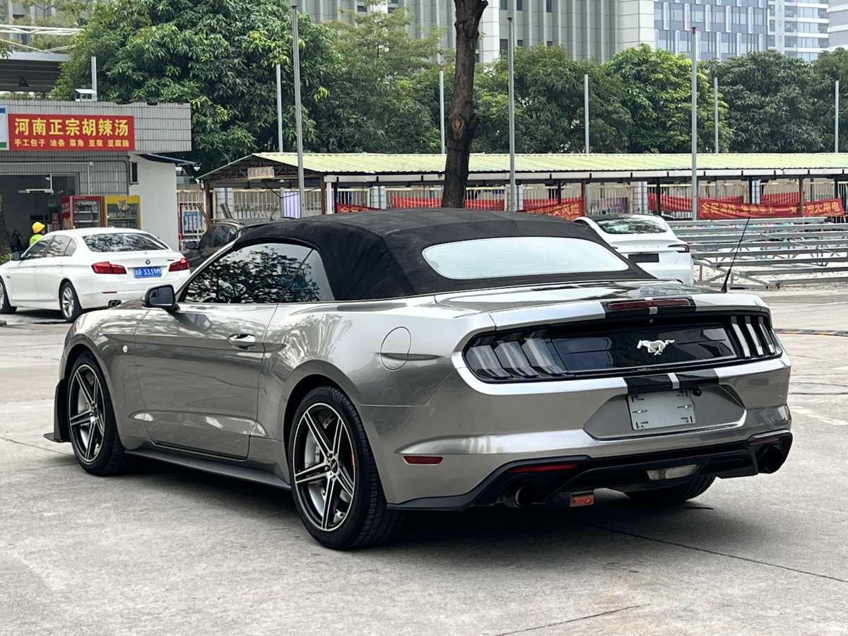 Ford Mustang 2019 #28 Ford Mustang 2019 immagine di auto #28