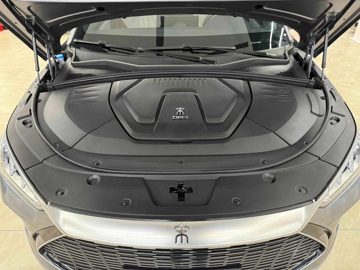 BYD Song Plus New Energy 2022 car image #28