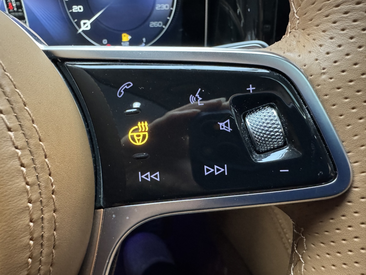 HongQi H9 2023 #28 HongQi H9 2023 immagine di auto #28