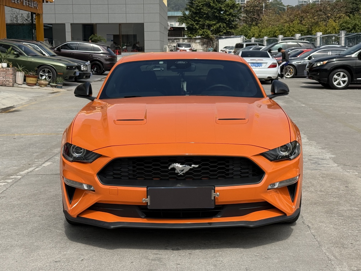 Ford 2021 car image #28