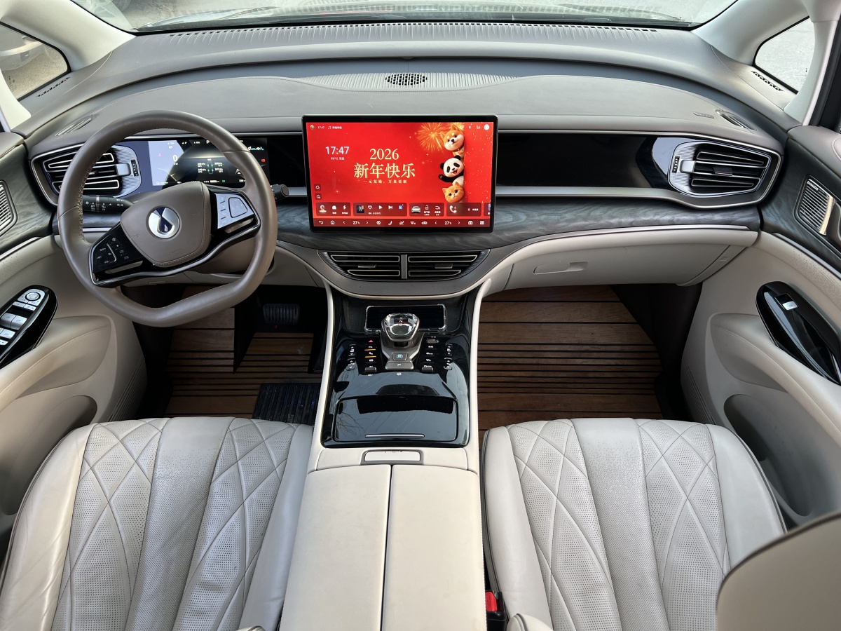 Denza D9 2023 image de voiture #28