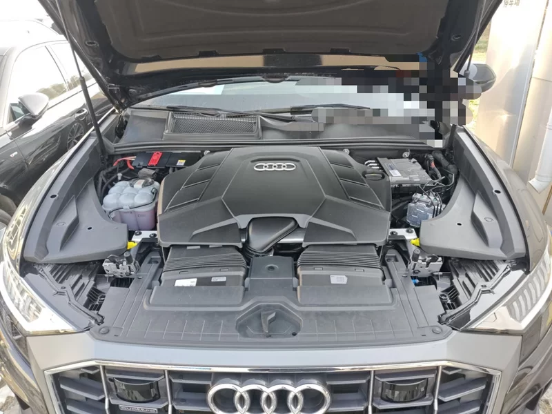 Audi RS Q8 2024 car image #28