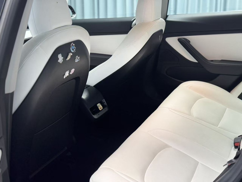 Tesla Model 3 2020 car image #5