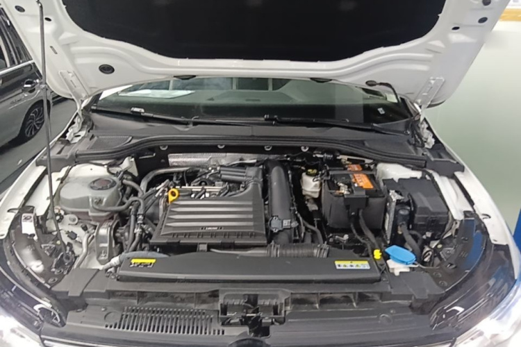 Volkswagen Golf 2021 car image #20