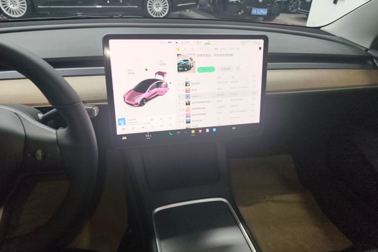Tesla Model 3 2021 car image #19