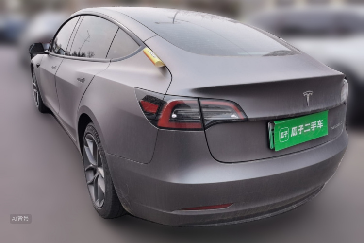 Tesla Model 3 2021 car image #5