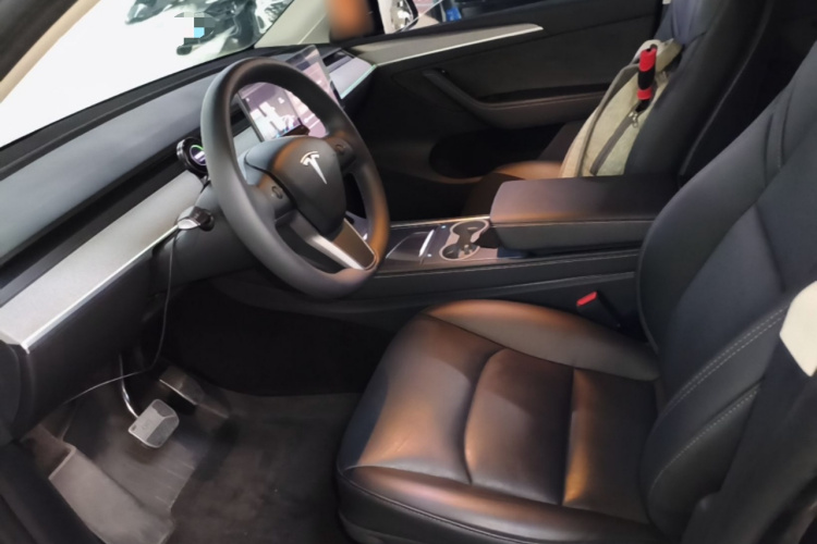 Tesla Model Y 2023 #15 Tesla Model Y 2023 car image #15