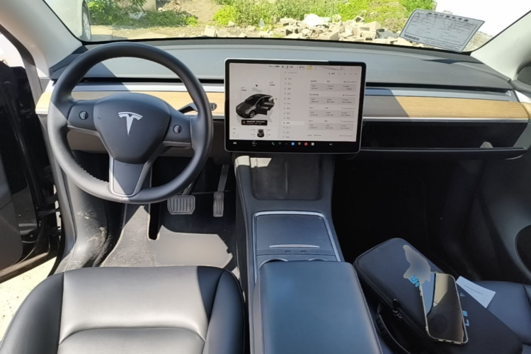 Tesla Model Y 2022 car image #10