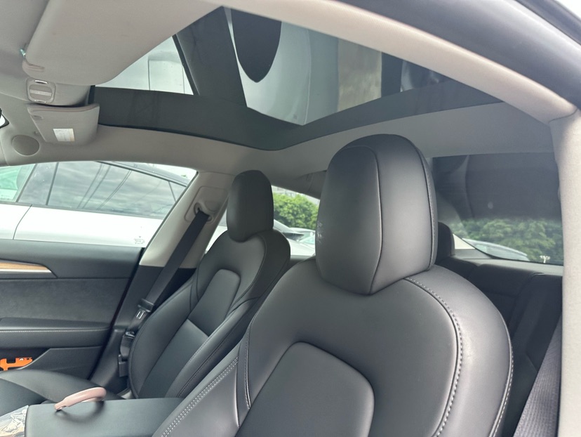 Tesla Model 3 2021 car image #4