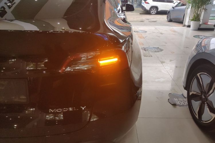 Tesla Model Y 2021 car image #8
