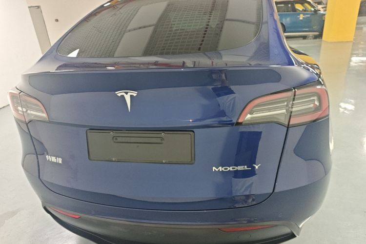 Tesla Model Y 2021 car image #6