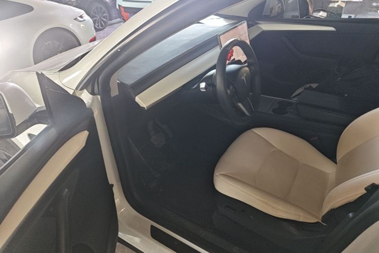 Tesla Model Y 2021 car image #16