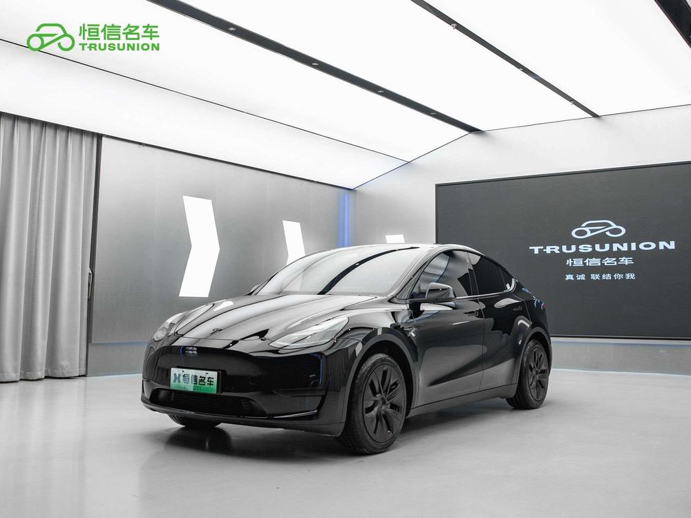 Tesla Model Y 2023 Tesla Model Y 2023 immagine di auto