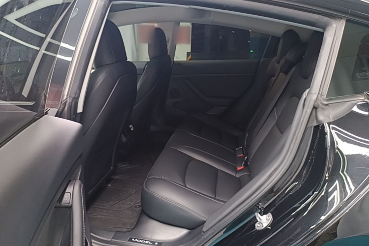 Tesla Model 3 2022 car image #17