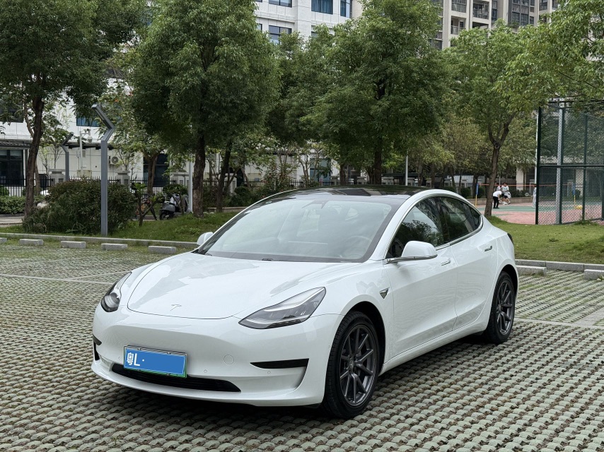 Tesla Model 3 (Imported) 2019 Tesla Model 3 (Imported) 2019 car image