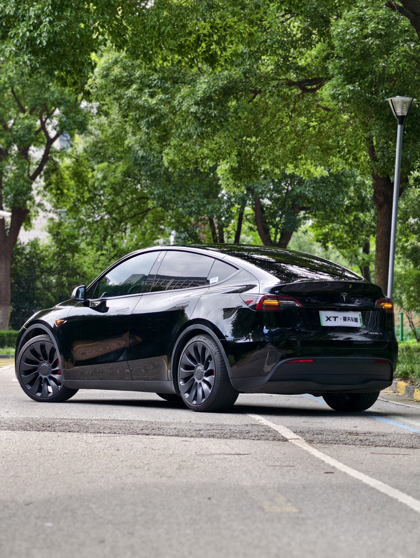 Tesla Model Y 2023 #3 Tesla Model Y 2023 car image #3