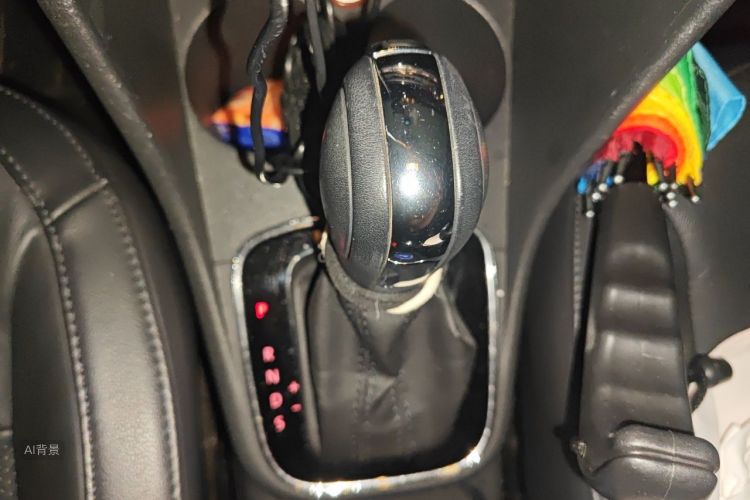 Volkswagen Polo 2016 car image #16