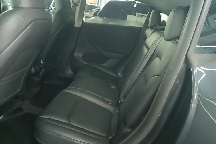 Tesla Model Y 2024 car image #13