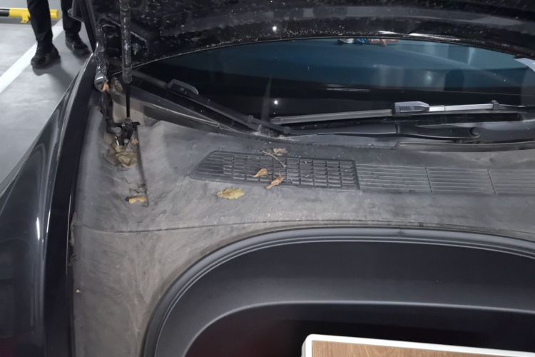 Tesla Model 3 2024 #22 Tesla Model 3 2024 car image #22