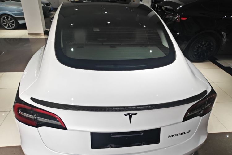 Tesla Model 3 2023 #6 Tesla Model 3 2023 car image #6