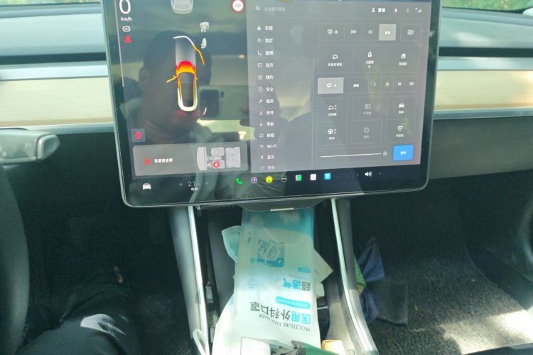 Tesla Model 3 2020 car image #13