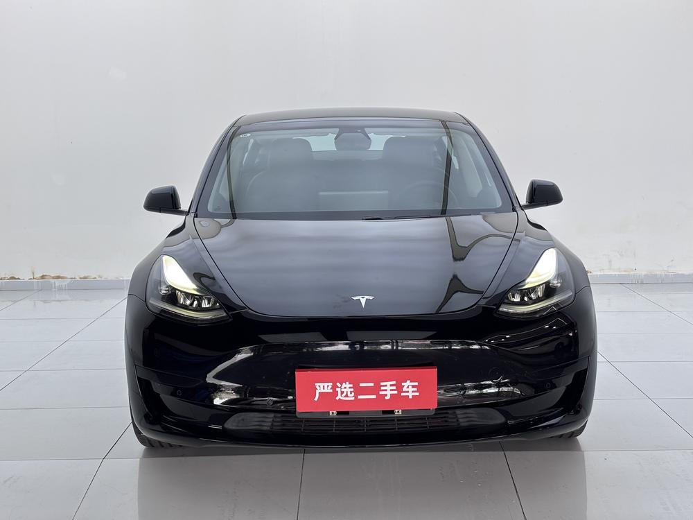 Tesla Model 3 2021 #2 Tesla Model 3 2021 car image #2