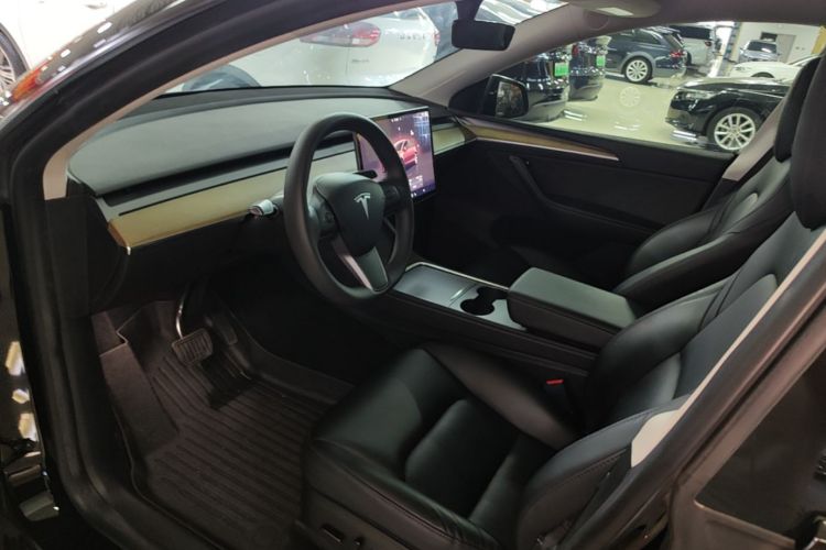 Tesla Model Y 2023 #12 Tesla Model Y 2023 car image #12
