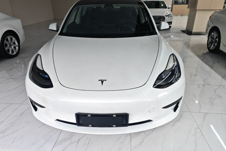 Tesla Model 3 2021 #3 Tesla Model 3 2021 car image #3