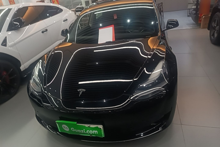 Tesla Model 3 2021 #3 Tesla Model 3 2021 car image #3