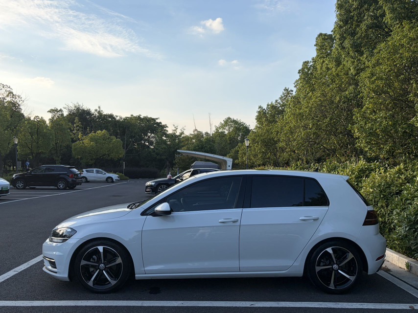 Volkswagen Golf 2019 #5 Volkswagen Golf 2019 car image #5