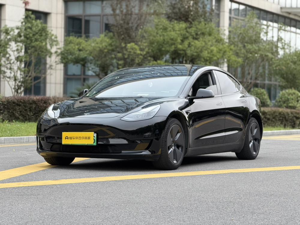 Tesla Model 3 2023 Tesla Model 3 2023 car image