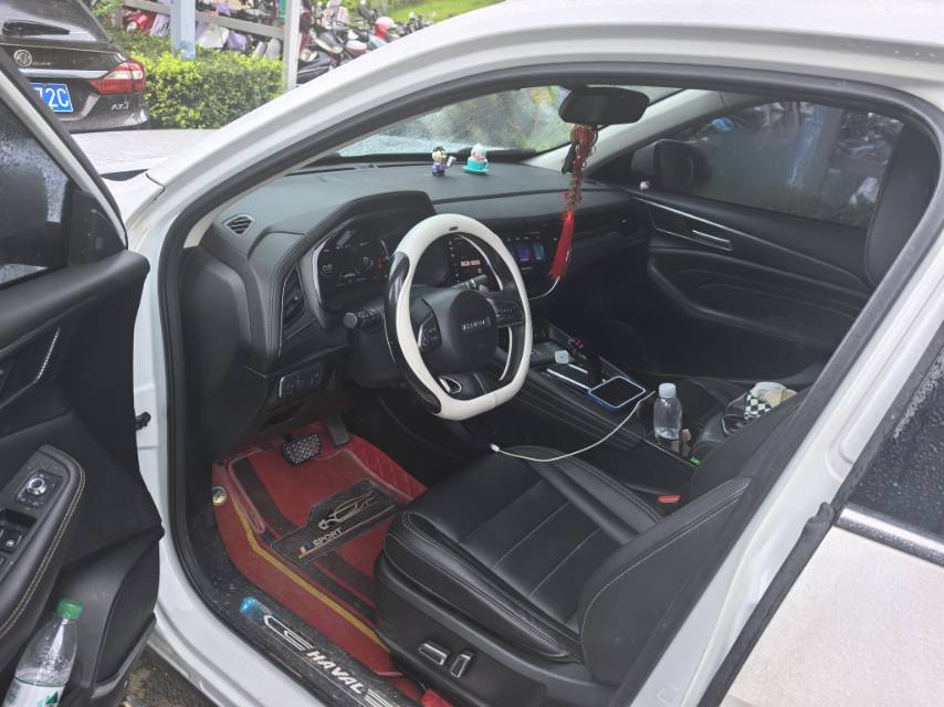Haval F7x 2020 car image #6