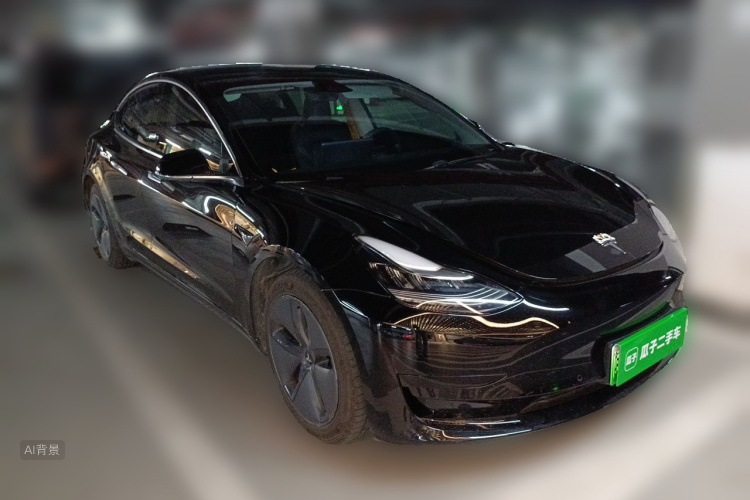 Tesla Model 3 2020 car image #4