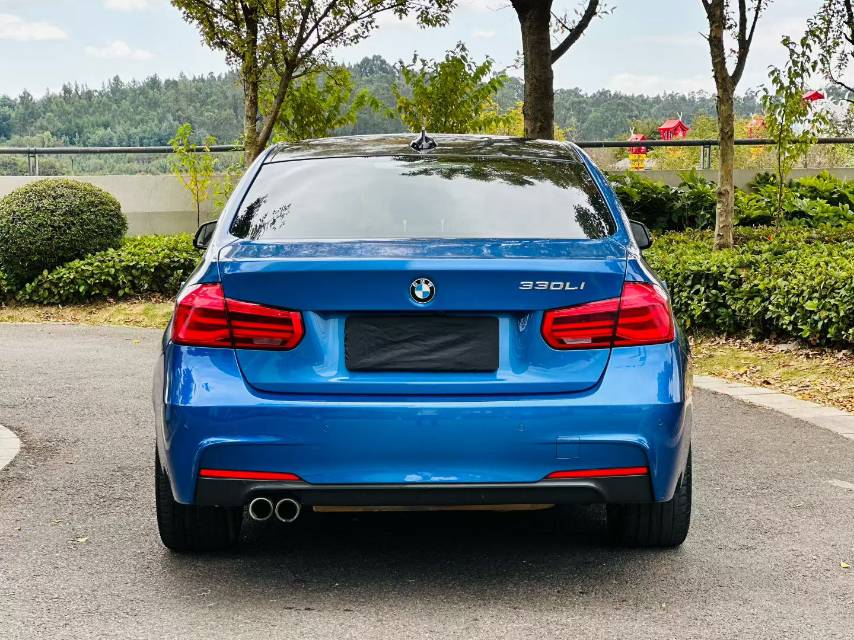 BMW 3 Series 2018 car image #8