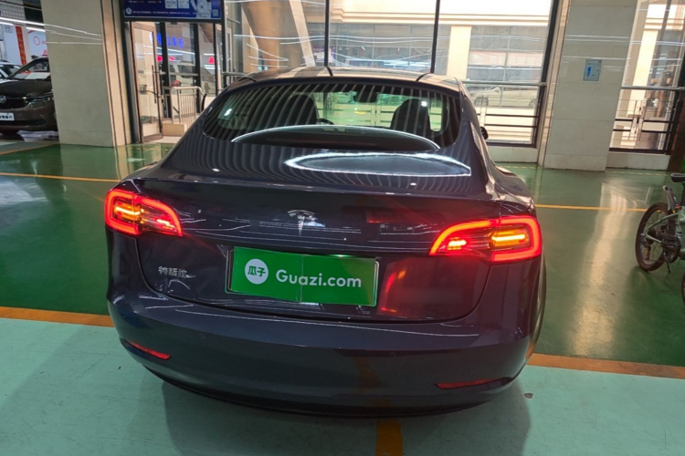 Tesla Model 3 2021 immagine di auto #6