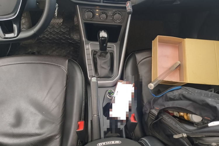 Volkswagen Polo 2019 car image #14