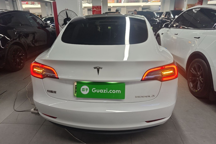 Tesla Model 3 2023 #6 Tesla Model 3 2023 car image #6