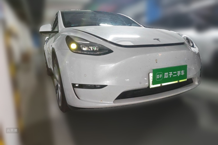 Tesla Model Y 2021 car image #4