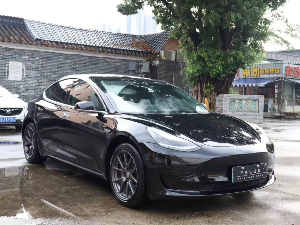 Tesla Model 3 2020 #3 Tesla Model 3 2020 car image #3