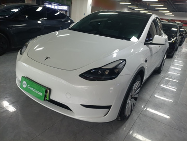 Tesla Model Y 2022 Tesla Model Y 2022 car image