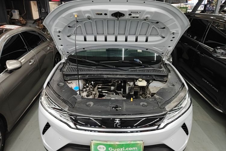 BYD YuanUP 2025 #22 BYD YuanUP 2025 car image #22
