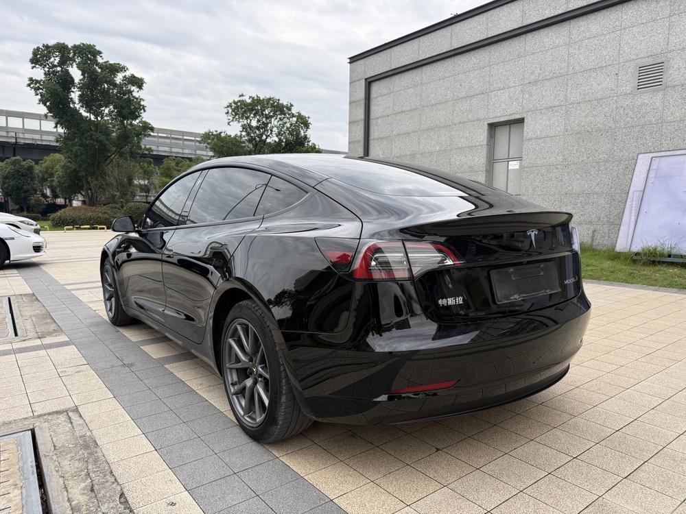 Tesla Model 3 2021 #5 Tesla Model 3 2021 car image #5
