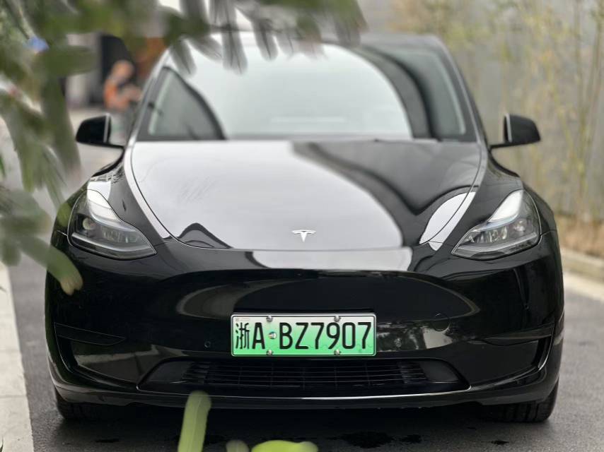 Tesla Model Y 2022 #2 Tesla Model Y 2022 car image #2