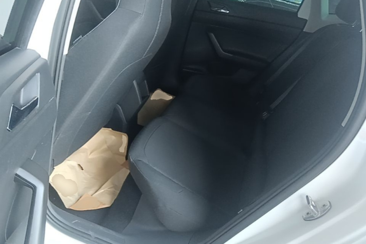 Volkswagen Polo 2022 car image #17