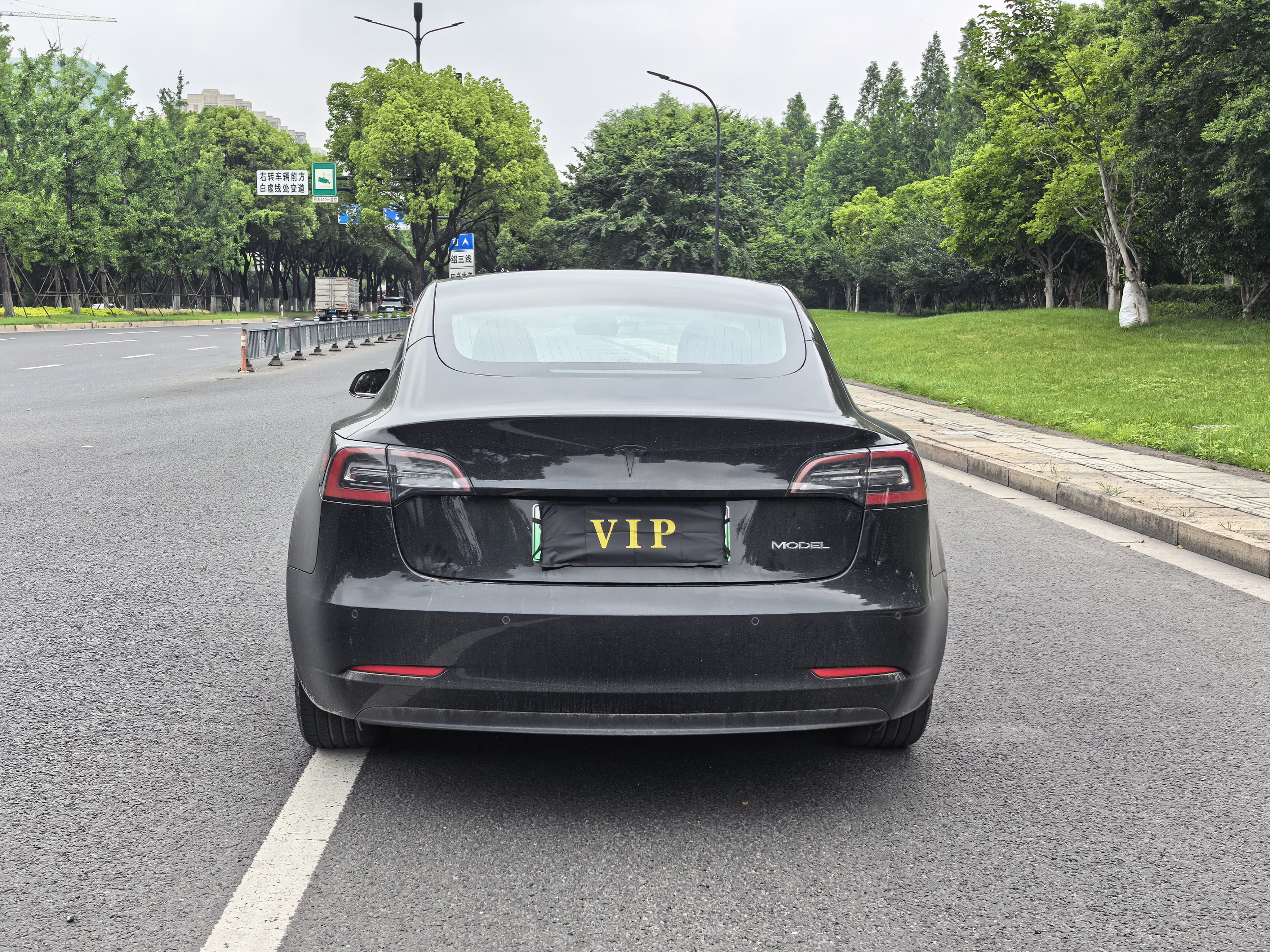 Tesla Model 3 2020 car image #8