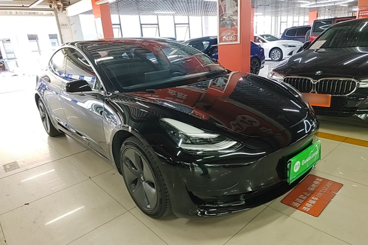 Tesla Model 3 2020 car image #4