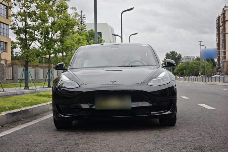 Tesla Model 3 2023 #3 Tesla Model 3 2023 car image #3